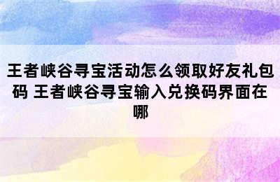 王者峡谷寻宝活动怎么领取好友礼包码 王者峡谷寻宝输入兑换码界面在哪